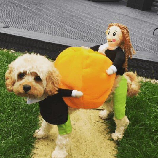 🔥Dog Pumpkin Halloween Costume -🎁Buy 2 FREE SHIPPING