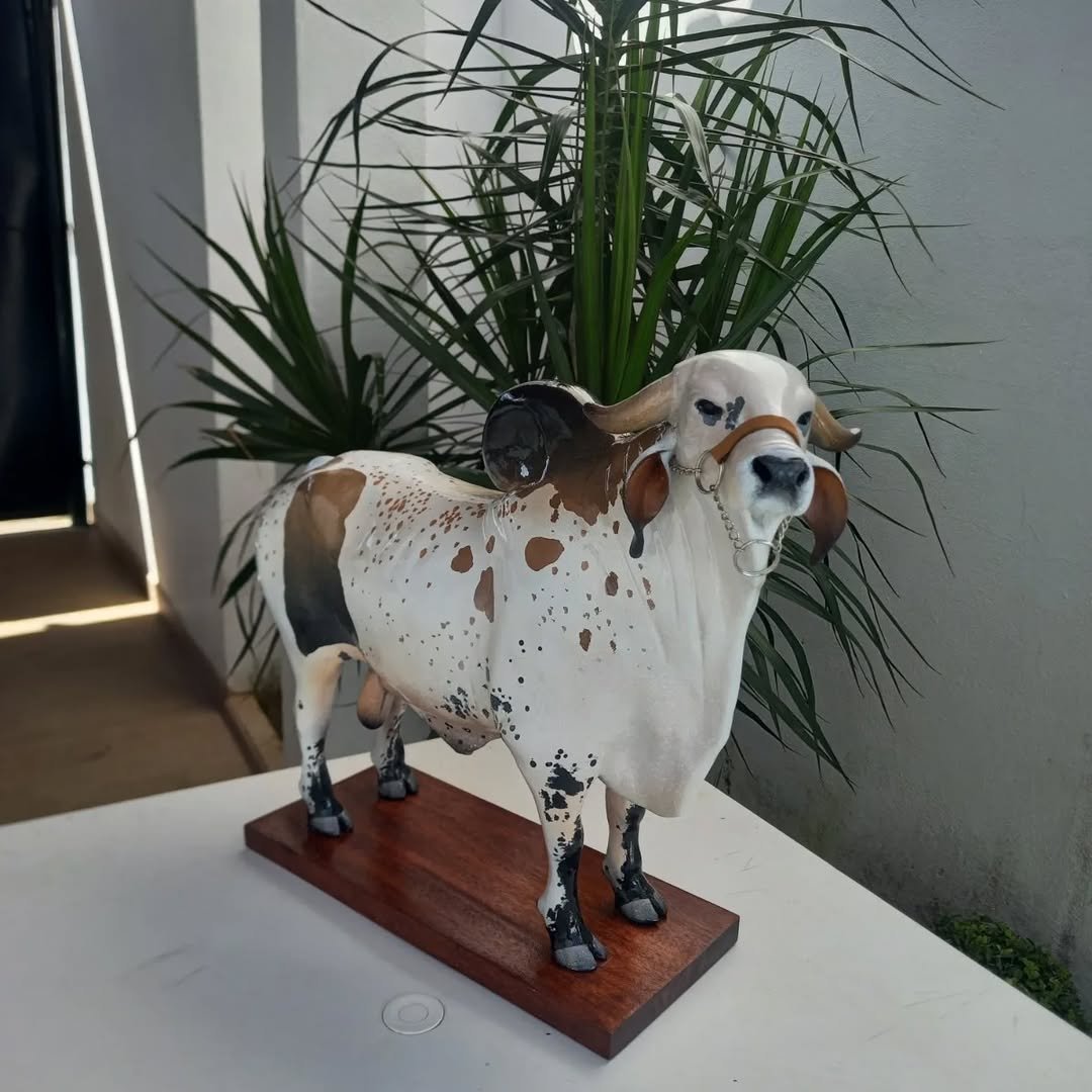 🐂🥃Nelore bull liquor dispensers