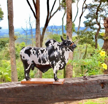🐂🥃Nelore bull liquor dispensers