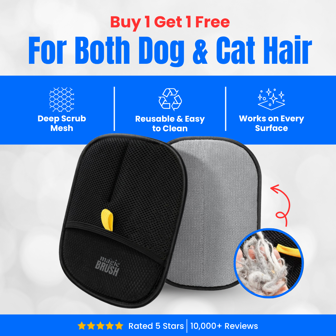 The Magic Brush - Buy 1 Get 1 Free