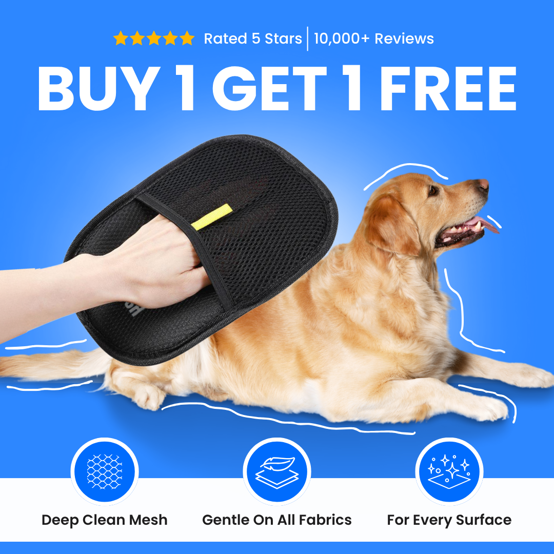 The Magic Brush - Buy 1 Get 1 Free