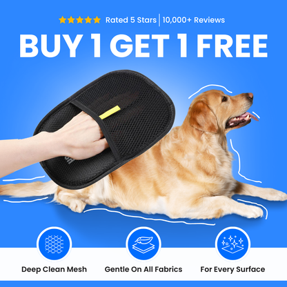 The Magic Brush - Buy 1 Get 1 Free