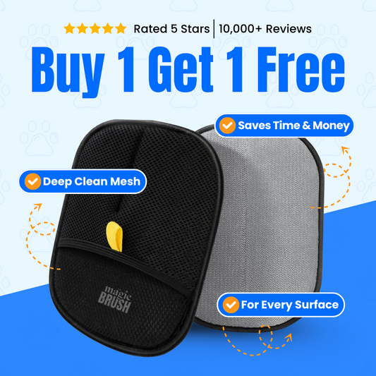 The Magic Brush - Buy 1 Get 1 Free