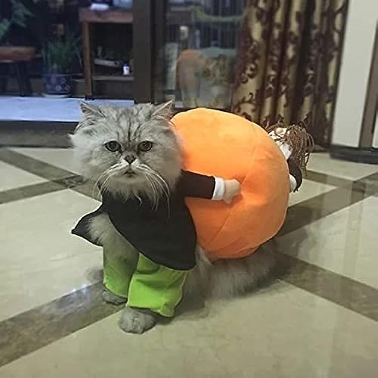 🔥Dog Pumpkin Halloween Costume -🎁Buy 2 FREE SHIPPING