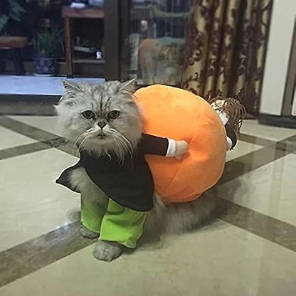 🔥Dog Pumpkin Halloween Costume -🎁Buy 2 FREE SHIPPING
