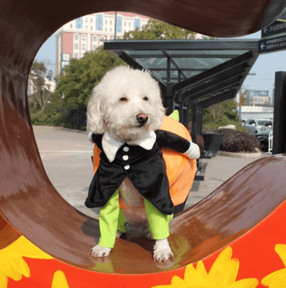 🔥Dog Pumpkin Halloween Costume -🎁Buy 2 FREE SHIPPING