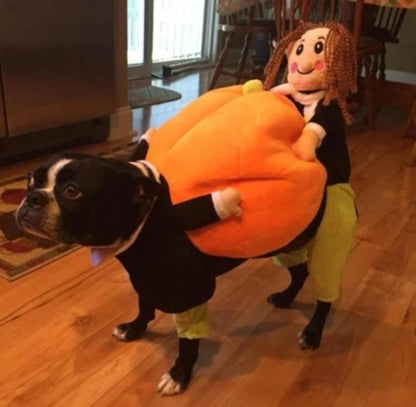 🔥Dog Pumpkin Halloween Costume -🎁Buy 2 FREE SHIPPING