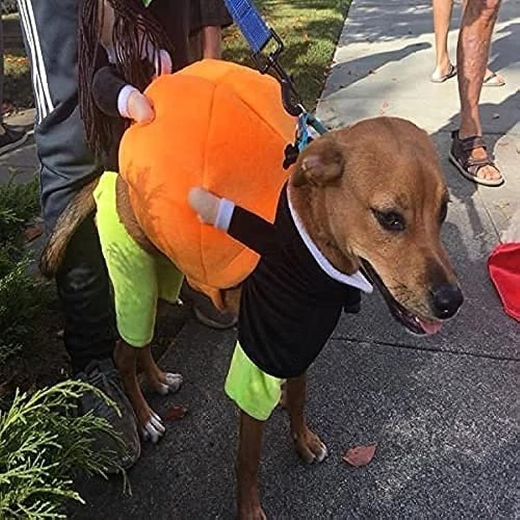 🔥Dog Pumpkin Halloween Costume -🎁Buy 2 FREE SHIPPING