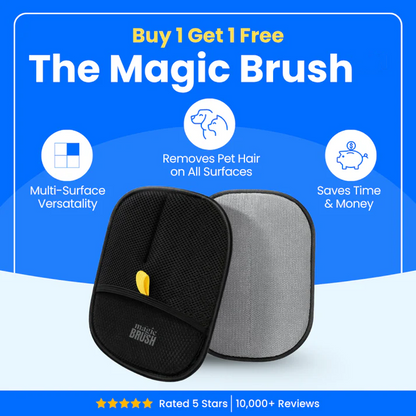 The Magic Brush - Buy 1 Get 1 Free